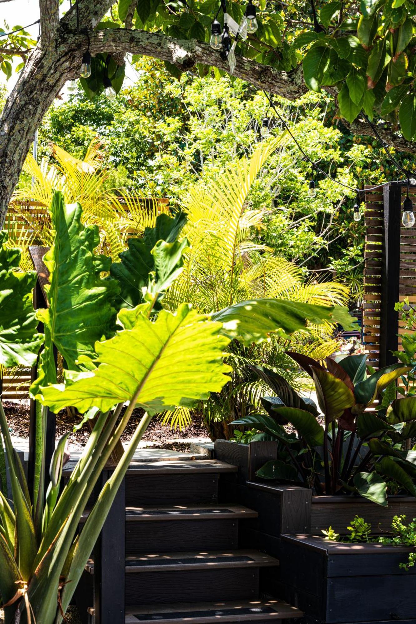 Shares Courtyard Luxury - New! Rockledge